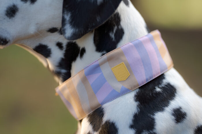 Woolly Wolf Sunshower Soft Martingale Collar