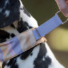 Woolly Wolf Sunshower Soft Martingale Collar