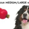 7pL14nbSteE-1.jpeg KONG Enhanced Ziggies Puppy