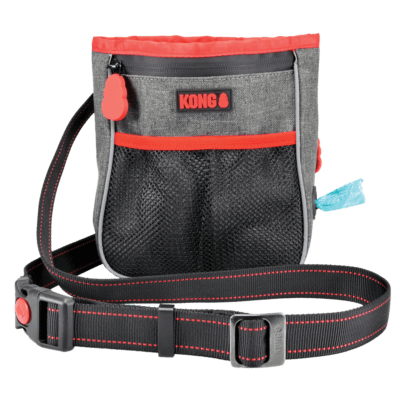 KONG Hiking Bag