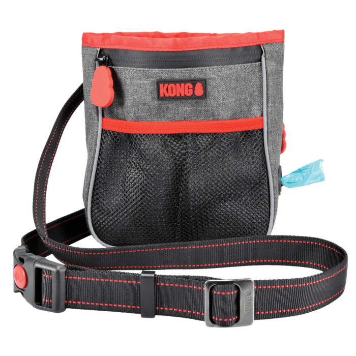 KONG Hiking Bag