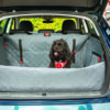 KONG108025.jpg KONG Travel Ultimate Cargo Liner & Tether