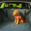 KONG108027.jpg KONG Travel Ultimate Cargo Liner & Tether