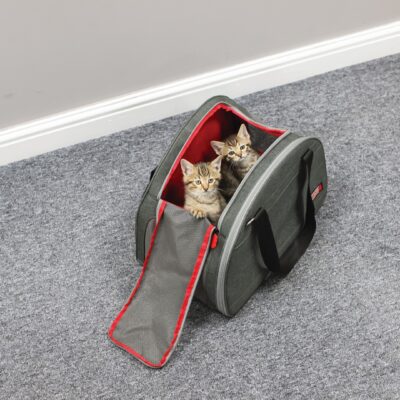 KONG 2-In-1 Pet Carrier and Travel Mat