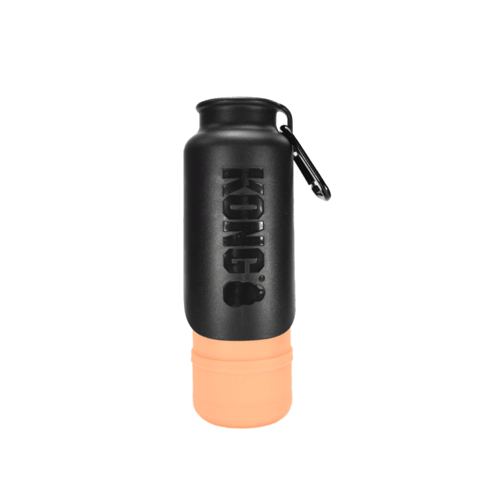 KONG H2O Geïsoleerde waterfles Oranje 700 ml
