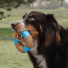 KONG CoreStrength Bamboo Bone