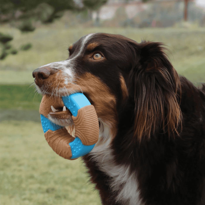 KONG CoreStrength Bamboo Bone