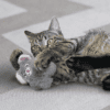 KONGCA118E4.png KONG Cat Snuzzles Muis