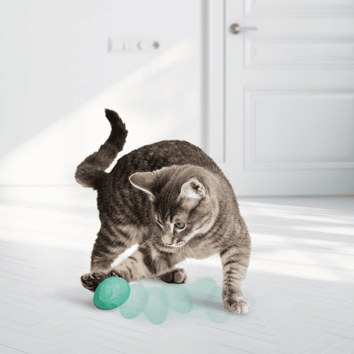 KONGCA121E5.png KONG Infused Catnip Egg 2-pk