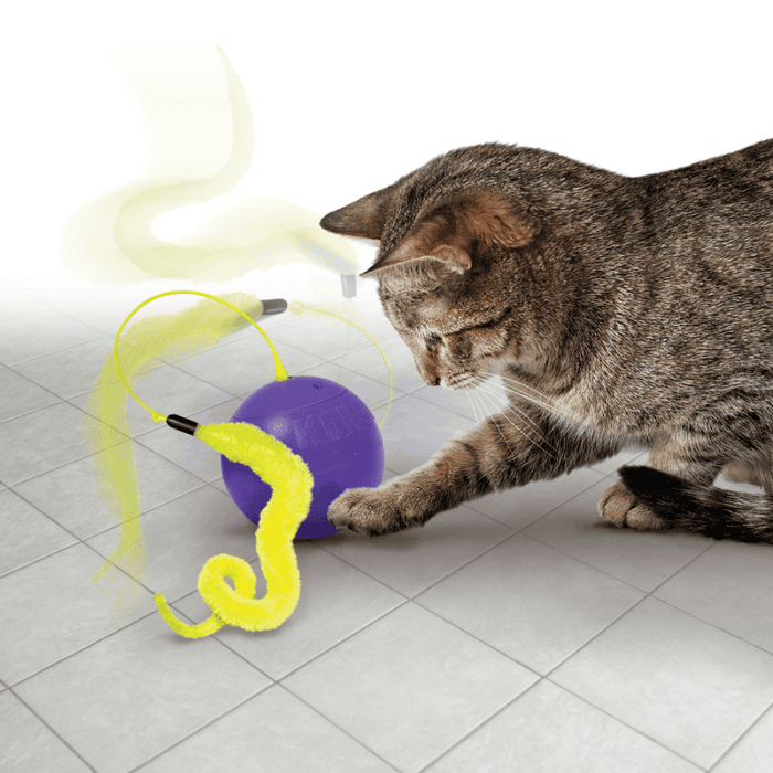 KONGCA455E4.png KONG Purrsuit Whirlwind