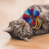 KONGCA87E3.png KONG Active Scrunchie