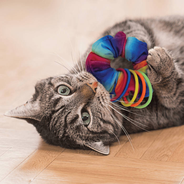 KONGCA87E3.png KONG Active Scrunchie