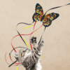 KONGCAT65E6.png KONG Teaser Butterfly Assorted Vlinder