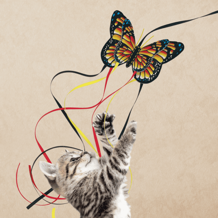 KONGCAT65E6.png KONG Teaser Butterfly Assorted Vlinder