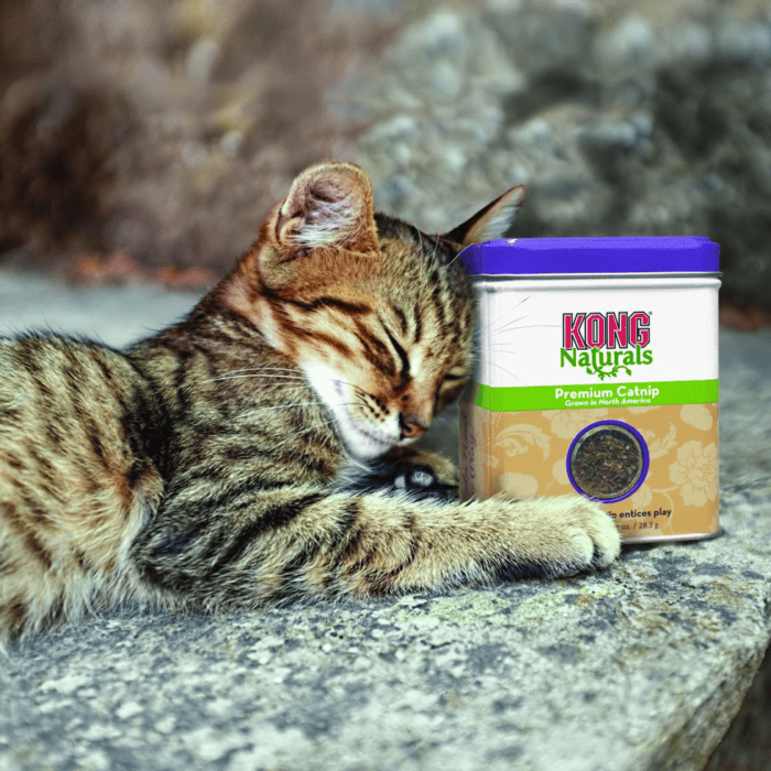 KONGCN2E3.png KONG Naturals Catnip 2 oz (56,7 g)