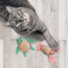 KONGCT64E4.jpg KONG Tropics Pals 2-pack