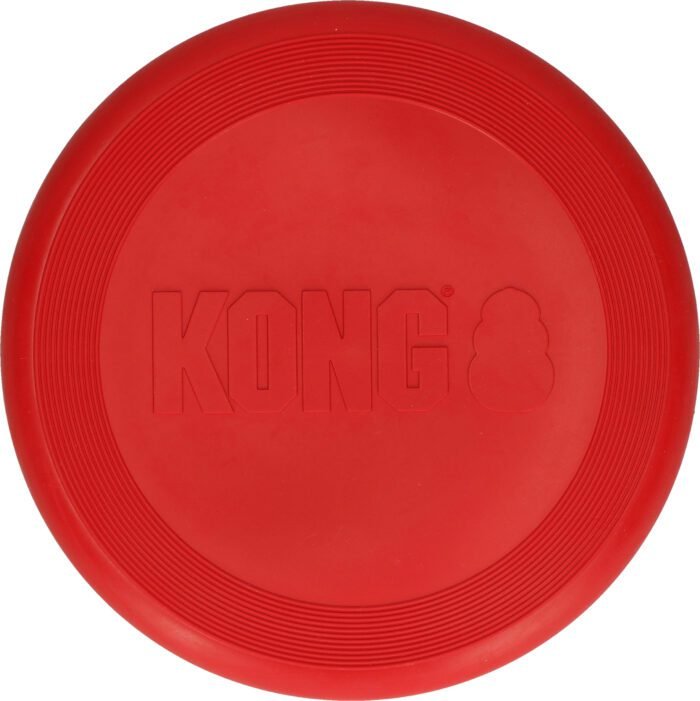 KONGKF3E0.jpg KONG Flyer