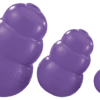 KONG Senior