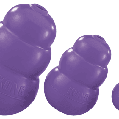 KONG Senior