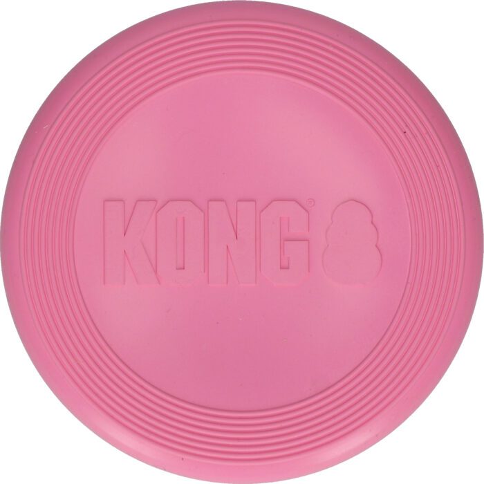 KONG Puppy Flyer Assorti S