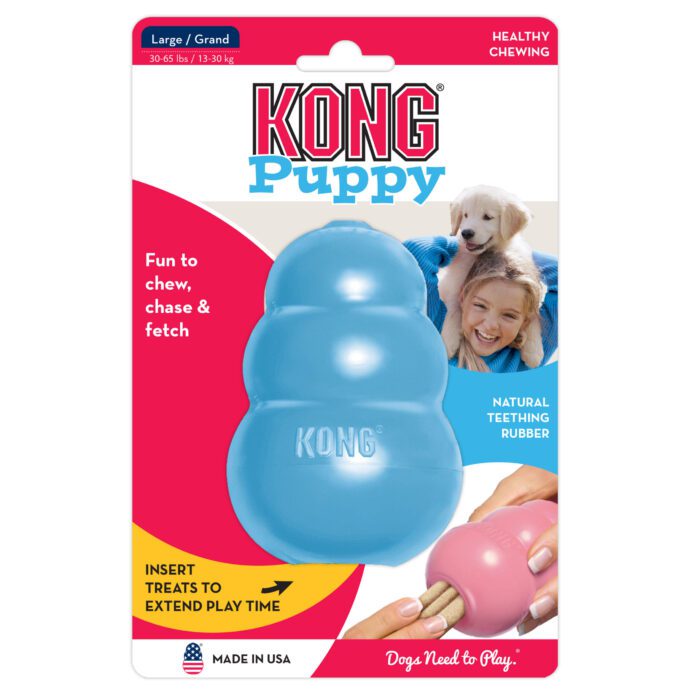 KONGKP1E1.jpg KONG Puppy