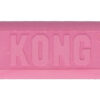 KONG Puppy Goodie Bone Assorti