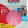 KONG Puppy Ball Assorti S