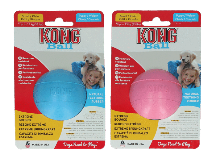 KONG Puppy Ball Assorti S