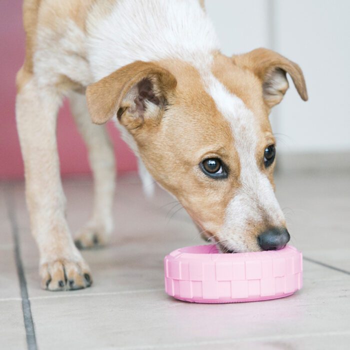 KONGKPT11E3.jpg KONG Puppy Tyres