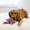 KONGLWT23E3.png KONG Stripes Low Stuff Varken
