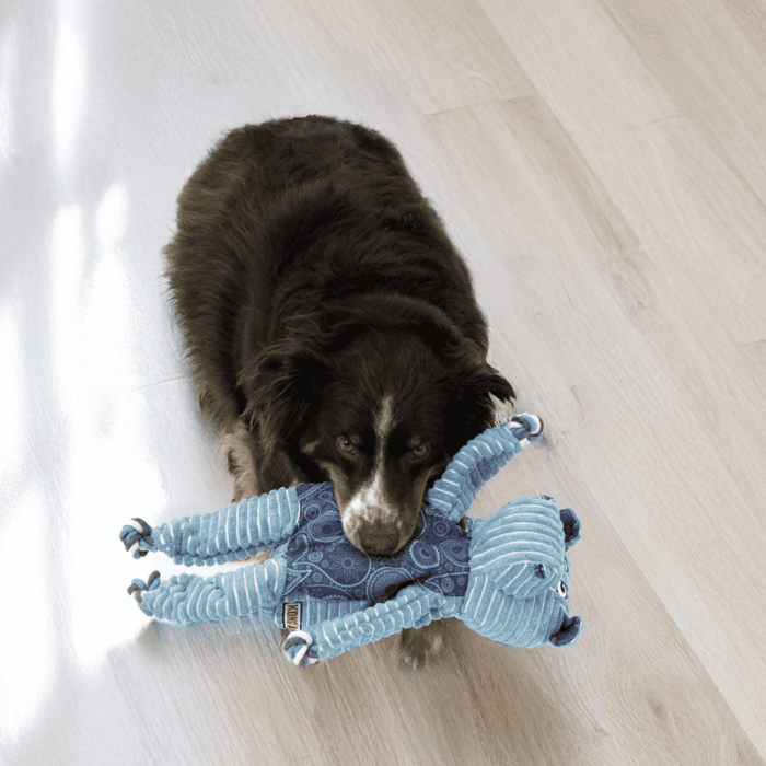 KONG Knots Floppy Hippo