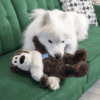 KONG Knots Wild Bear