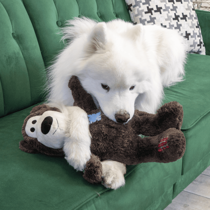 KONG Knots Wild Bear