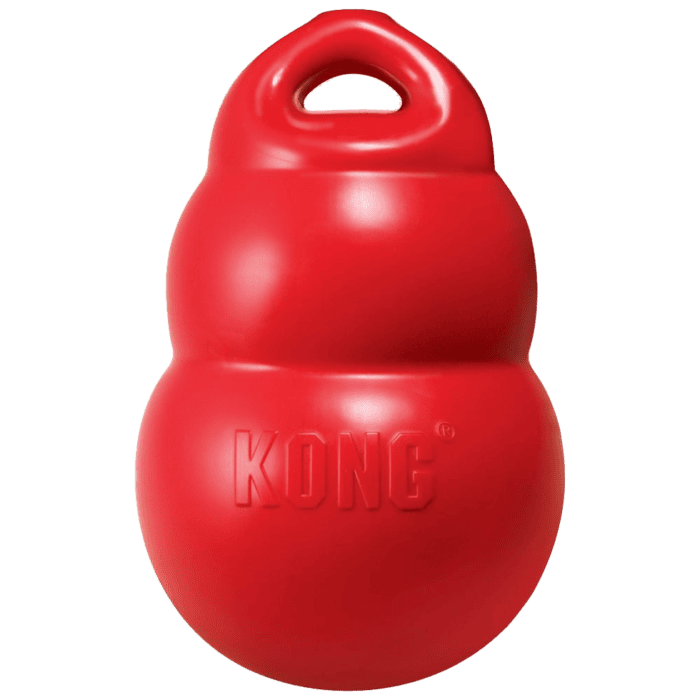 KONG Bounzer Large
