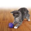 KONGPE4E2.jpg KONG Cat Treat Dispensing Ball