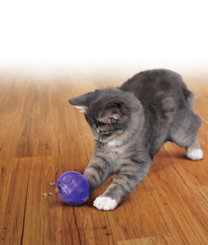 KONGPE4E2.jpg KONG Cat Treat Dispensing Ball