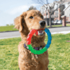 KONG Twistz Ring S