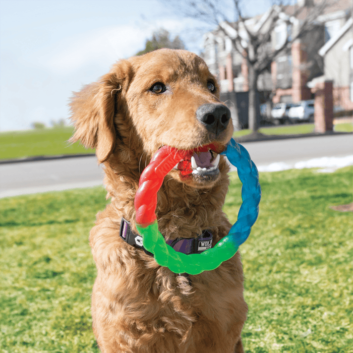 KONG Twistz Ring S