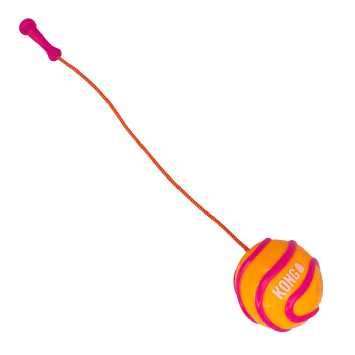 KONG Bunji High-Viz Ball Assorted