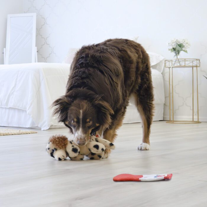 KONG Comfort Pups Spot M