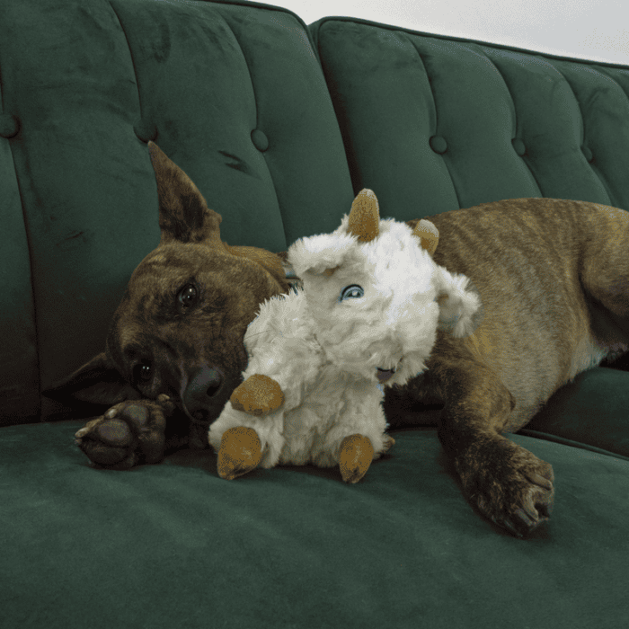 KONG Comfort Tykes Plush Toy Goat