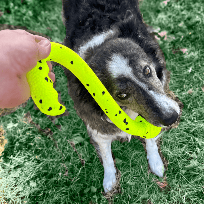 KONGRFL16E3.png KONG Reflex Tug 'n Fetch