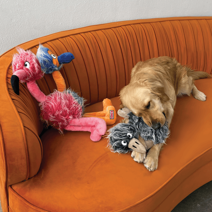 KONG Comfort Jumbo Birds Assorti