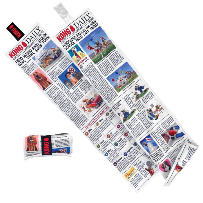 KONGRKDXE3.jpg KONG Daily XL