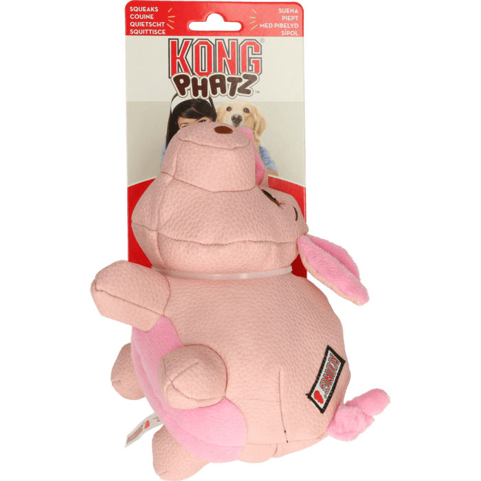 KONGRPA23E.png KONG Phatz Varken