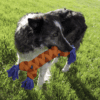 KONGRRY21E3.png KONG Rope Rally Bot