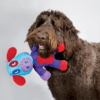 KONG Switcheroos Assorti