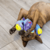 KONGRWM2E5.png KONG Woozles Monster Assorted