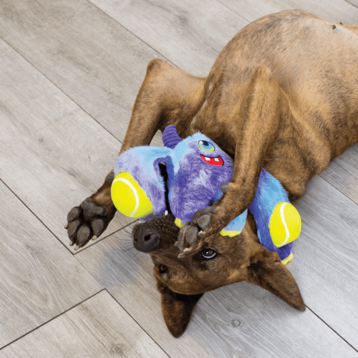 KONGRWM2E5.png KONG Woozles Monster Assorted
