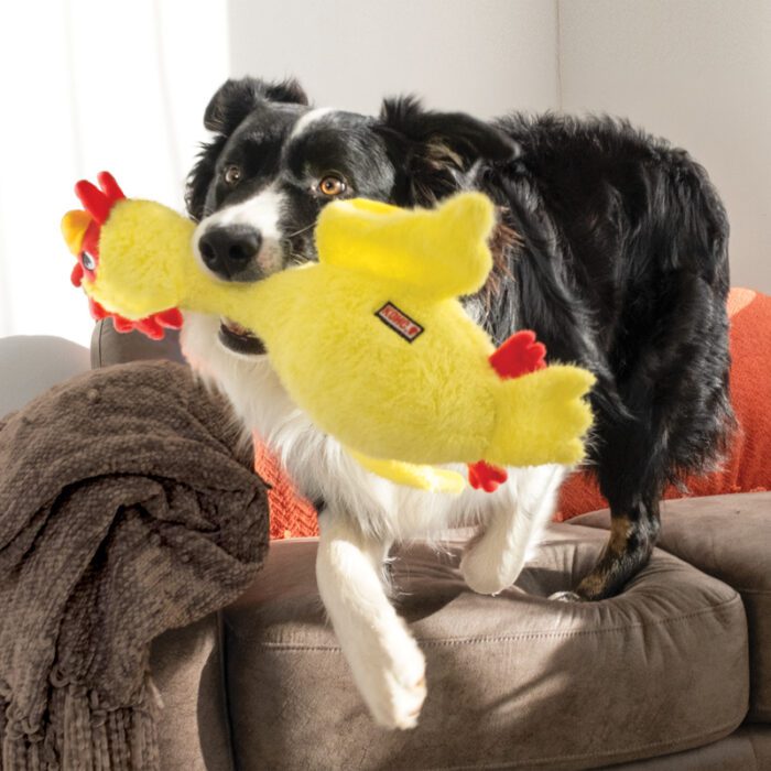 KONGSCF11E3.jpg KONG Scruffs Chicken